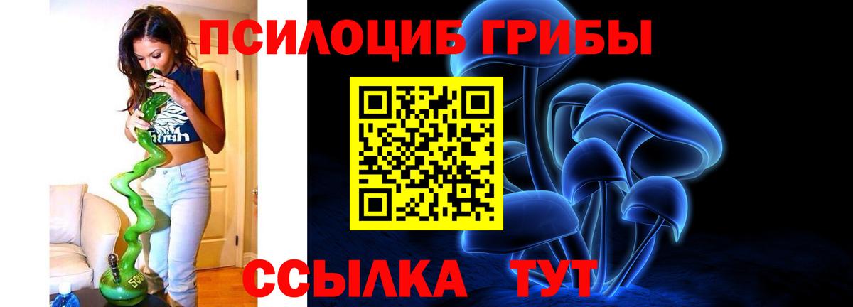Псилоцибиновые грибы Cubensis Благодарный
